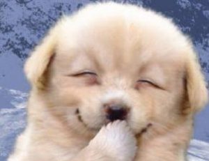 アフィリエイトで桁違いに稼ぐためには絶対外せない重要な１つキーワード！