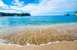 ２０１８年７月の「今月の一押しコンテンツ」を公開しました！