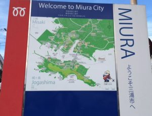 三崎港の花火大会に行ってきました！！！！！