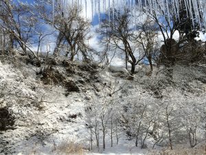東北ほっこり雪見露天風呂旅行奮闘記！