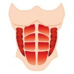 【記事販売】男性向け加圧シャツアフィリエイトブログを作る記事セットを公開しました!