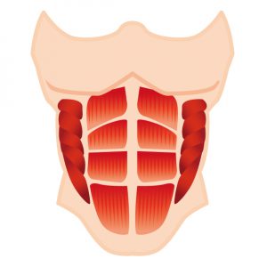 【記事販売】男性向け加圧シャツアフィリエイトブログを作る記事セットを公開しました！