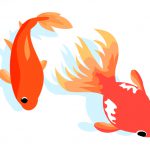 【リライト記事】観賞魚をアフィリエイトするブログを作る記事セットを公開しました!
