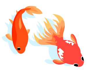 【リライト記事】観賞魚をアフィリエイトするブログを作る記事セットを公開しました！