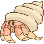 【記事販売】ヤドカリをアフィリエイトするブログを作る記事セットを公開しました！