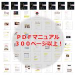 【特典】月10万円以上稼ぐアダルトSEOブログの作り方マニュアルプレゼント!